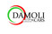 Logo Damoli Cars Verona di Damoli Alex
